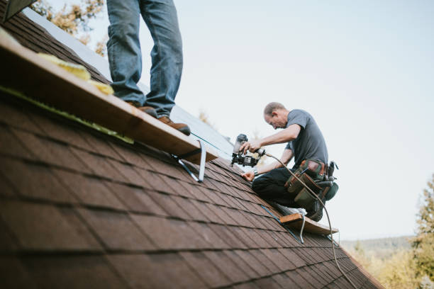 Best New Roof Installation  in Mount Carmel, TN