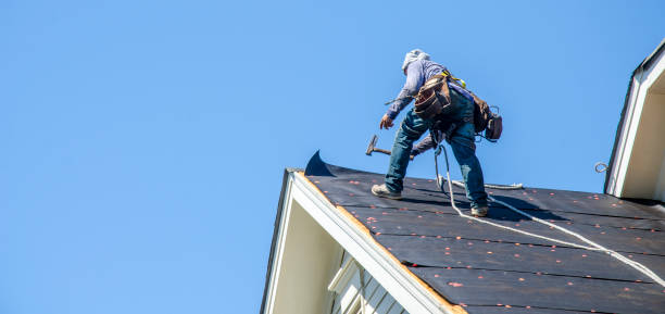 Best Storm Damage Roof Repair  in Mount Carmel, TN